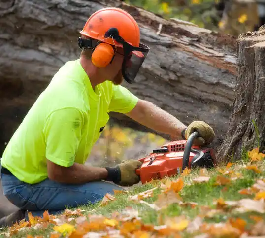 tree services Southwest City